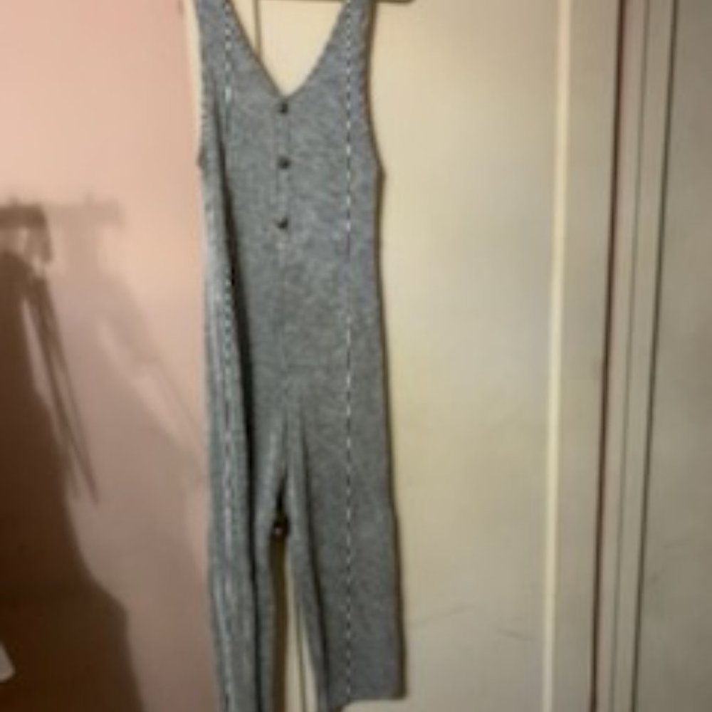 Caution to the Wind pinstriped Jumpsuit